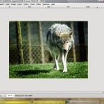 GIMP - GNU Image Manipulation Program